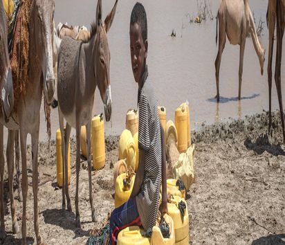 An entire pastoralist community, thousands in this region, whose lives are threatened by an unforgiving changing climate, scramble for the little water remaining with their herds, about 100 kilometres from the town of Wajir, in the drought-affected northeastern Kenya, on June 8, 2022. "In twenty days," Hassan, an elder of the community, explains, "there will be nothing left to drink. Then our fate will be in God's hands."